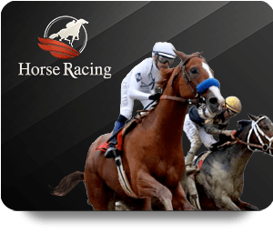 แข่งม้า